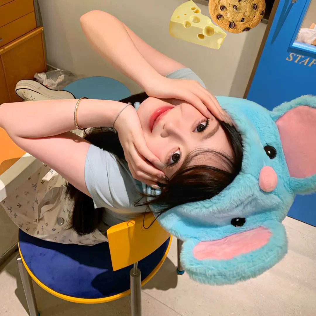 熊猫手札